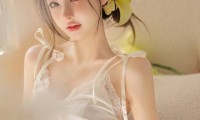 仙踪林company limed1 MBA智库